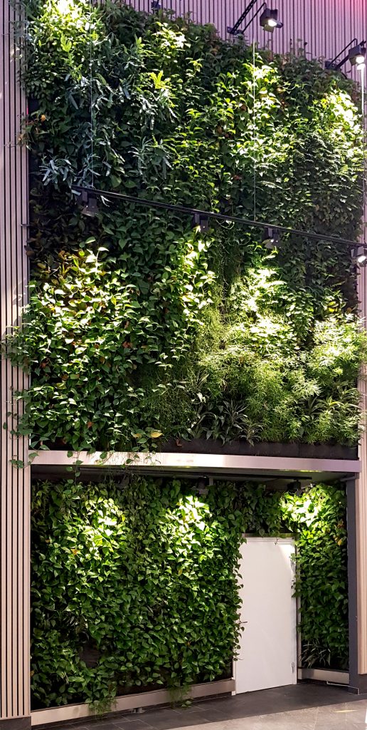 granby centrum indoor vertical garden uppsala 2018 greenworks 02