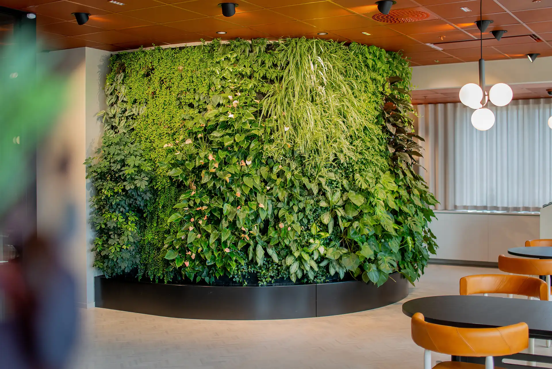 Ernst & Young, växtväggar inomhus, Stockholm